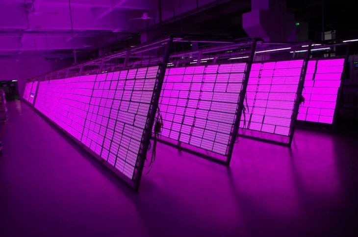 P4 SMD Full Color Outdoor Led Displays